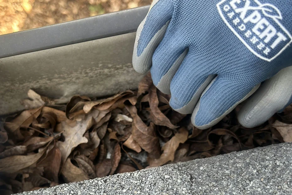 Gutter Cleaning Petersburg