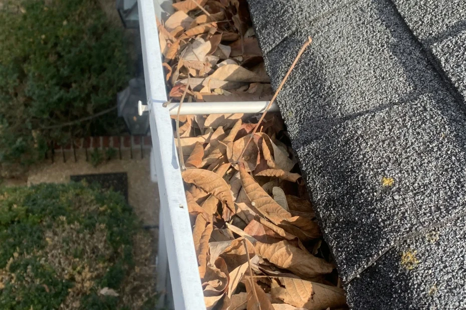 Gutter Cleaning Petersburg