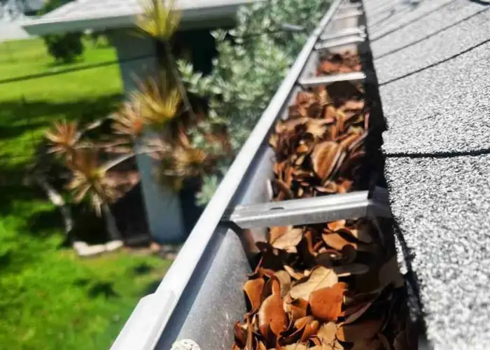 Gutter Cleaning Petersburg home page